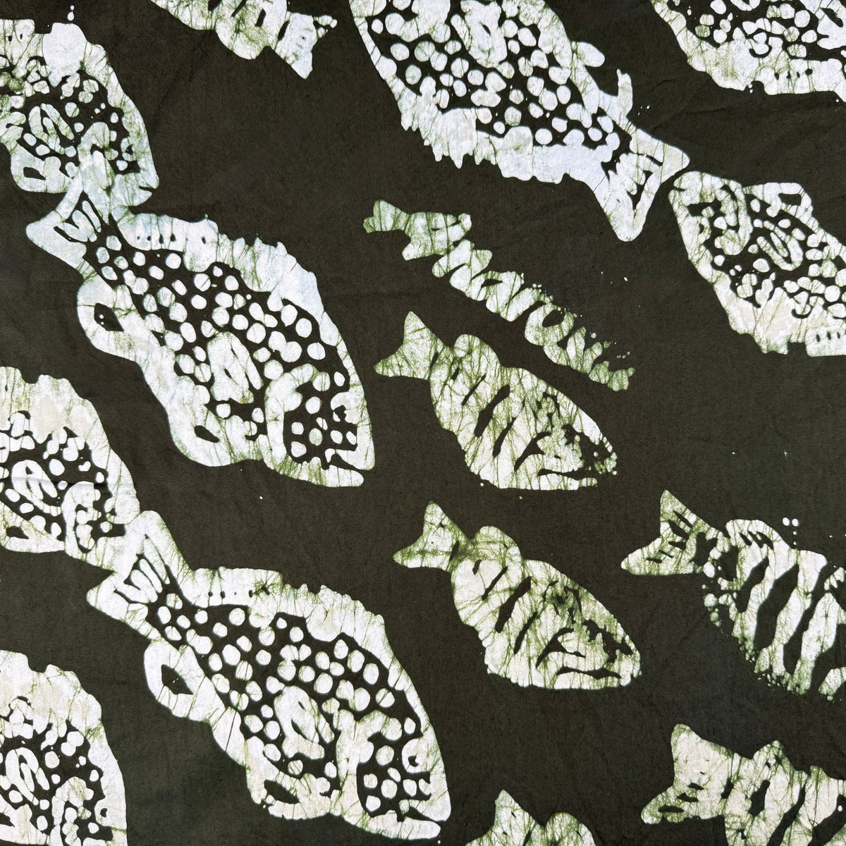 Army Green - Schooling Grouper