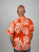 Tangerine - Coral