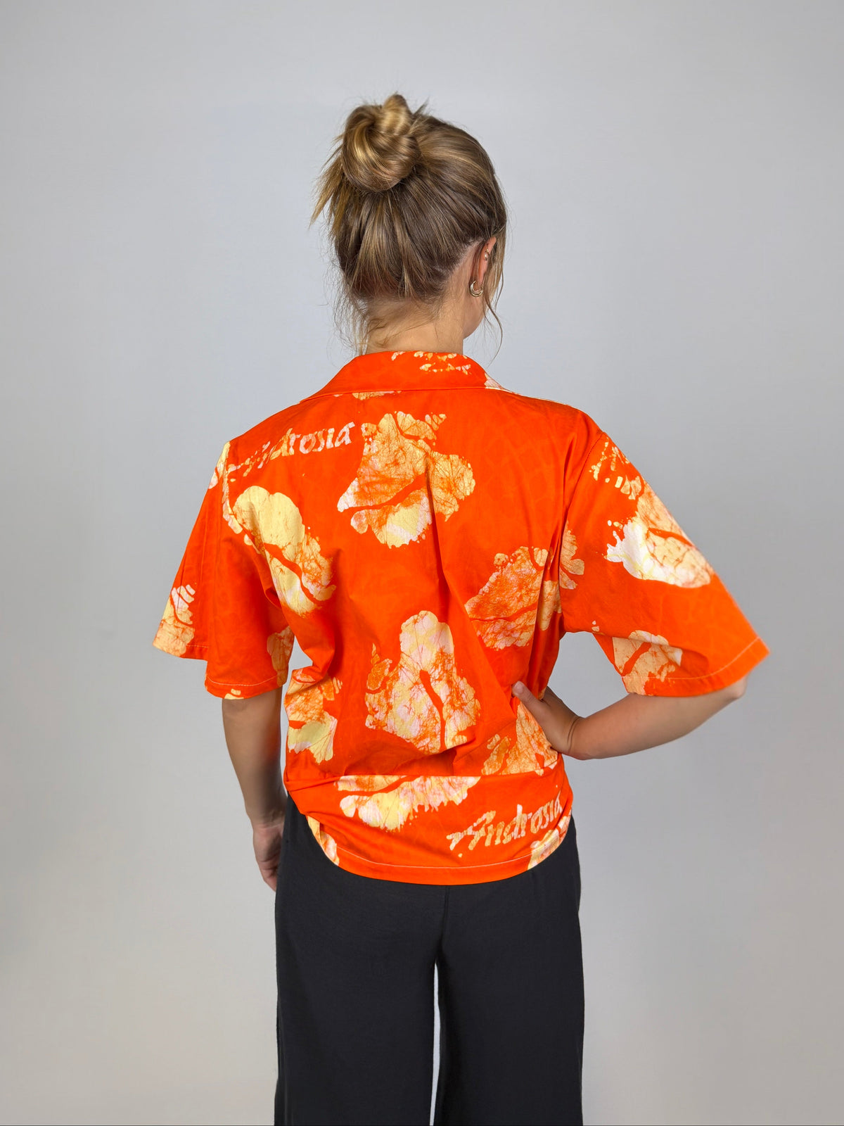 DD Orange Yellow - Conch