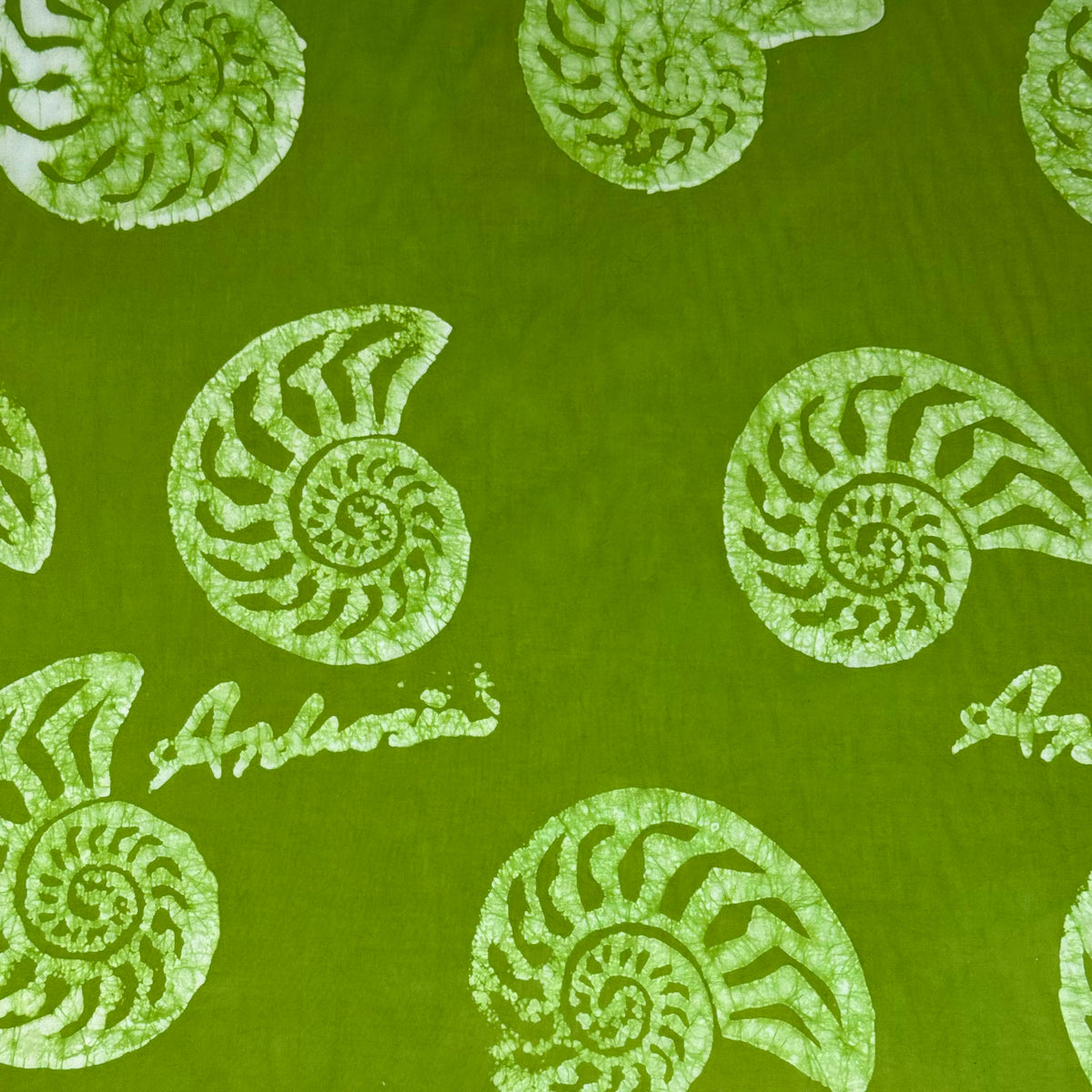 Grass Green - Nautilus