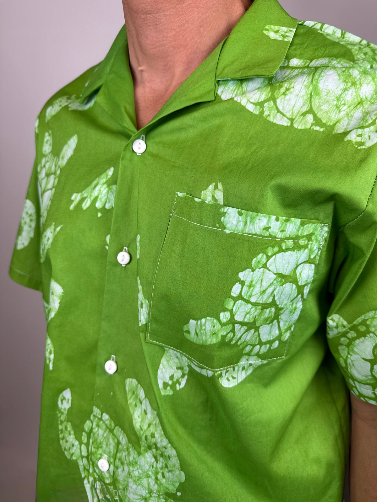 Grass Green - Big Turtle