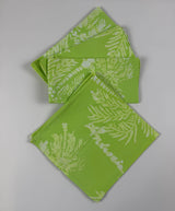 Keylime - Palm Tree