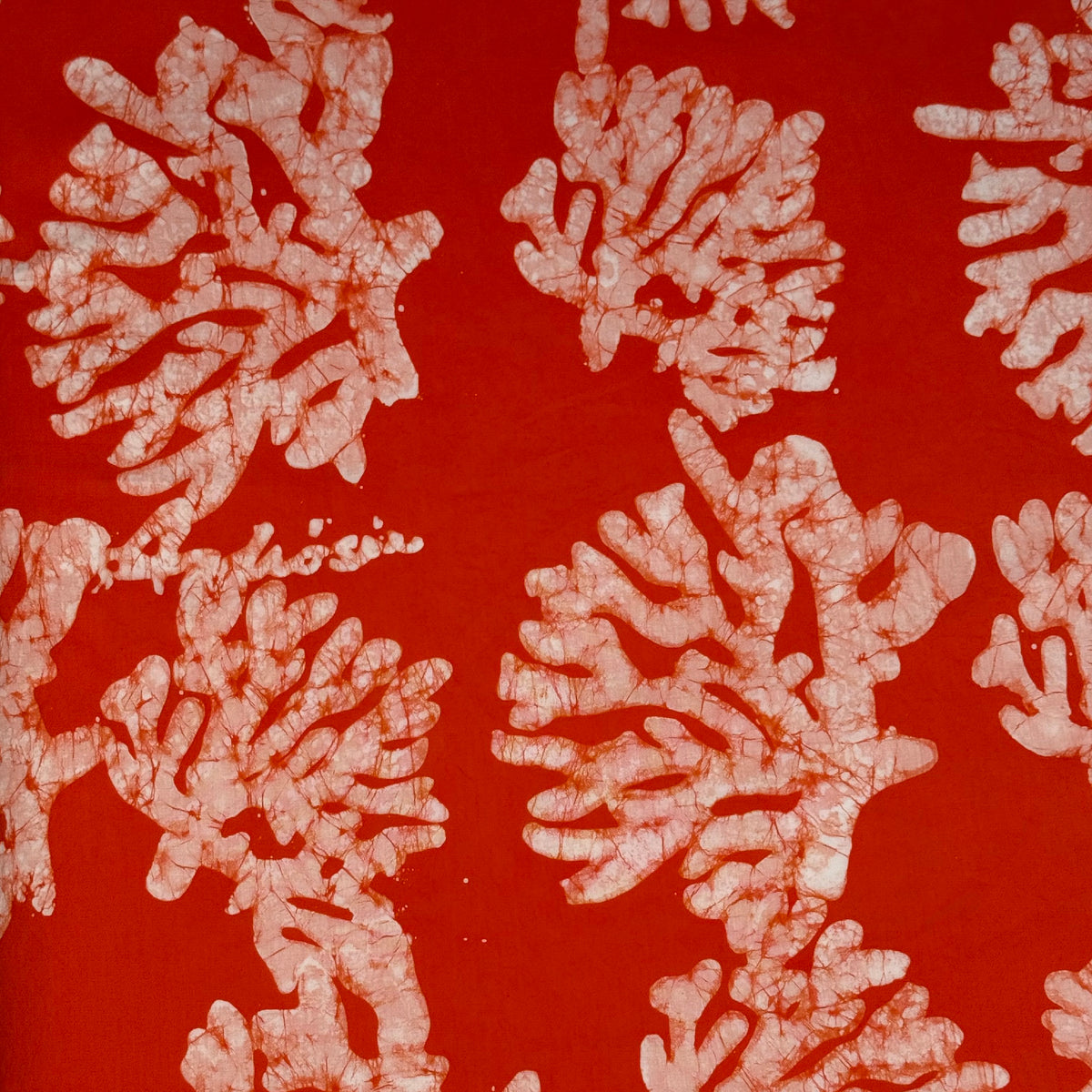 Tangerine - Coral