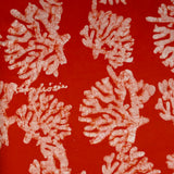 Tangerine - Coral