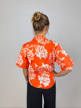 Tangerine - Coral
