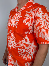 Tangerine - Coral